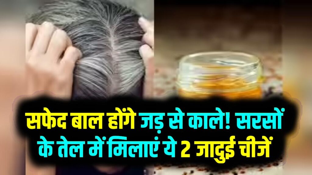 सफेद बाल होंगे जड़ से काले! सरसों के तेल में मिलाएं ये 2 जादुई चीजें; बिना डाई के पाएं चमकते काले बाल, जानें बनाने की विधि