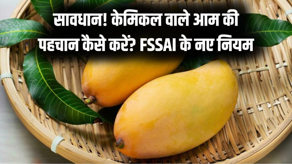 सावधान! केमिकल से पका तो नहीं है आपका पसंदीदा आम? FSSAI ने जारी किए नए नियम; घर पर ऐसे करें 'कार्बाइड' की पहचान