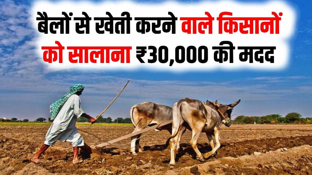 बैलों से खेती करने वाले किसानों की मौज! सरकार देगी हर साल ₹30,000; पारंपरिक खेती को बढ़ावा देने के लिए बड़ा फैसला
