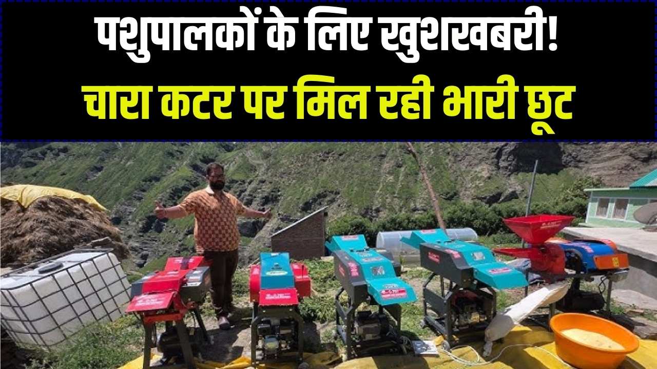 पशुपालकों की मौज! चारा काटने की मशीन (Chaff Cutter) पर मिल रही भारी सब्सिडी, यहाँ देखें आवेदन की पूरी प्रक्रिया