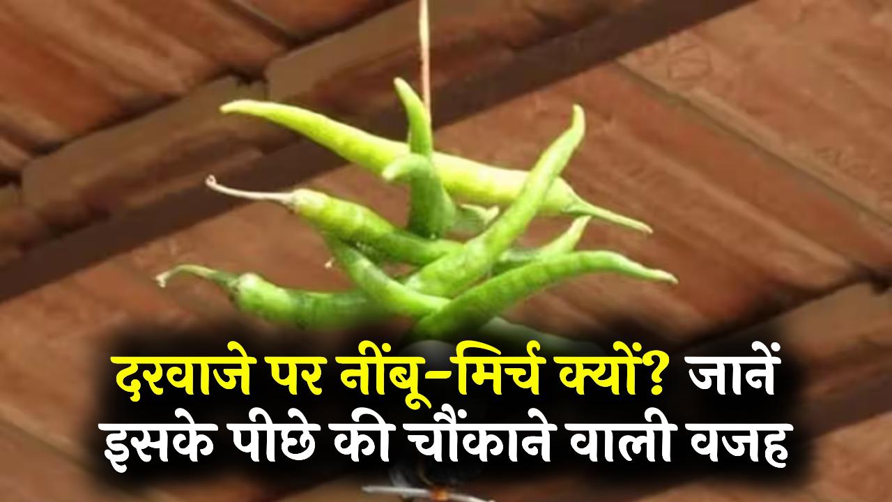 Logic or Myth: दरवाजे पर नींबू के साथ 7 मिर्च लटकाना सिर्फ अंधविश्वास नहीं! इसके पीछे छिपी है ये चौंकाने वाली असली वजह।