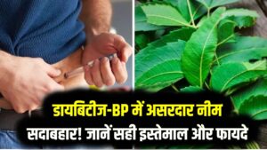 डायबिटीज और हाई BP का काल है 'सदाबहार' और 'नीम'! वैज्ञानिक भी बोले- इन पत्तियों में छिपा है रामबाण इलाज; ऐसे करें इस्तेमाल