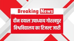 DDU Result 2026 OUT: दीन दयाल उपाध्याय गोरखपुर विश्वविद्यालय का रिजल्ट जारी; यहाँ से डाउनलोड करें UG/PG मार्कशीट PDF