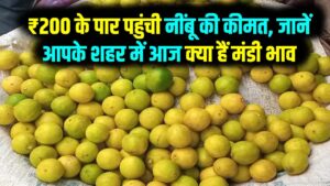 गर्मी आते ही नींबू ने दिखाए तेवर! ₹200 के पार पहुंची कीमत; जानें आपके शहर में आज क्या हैं मंडी भाव
