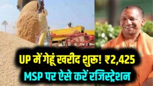 यूपी के किसानों के लिए अच्छी खबर! आज से ₹2,425 की MSP पर गेहूं की सरकारी खरीद शुरू; ऐसे कराएं अपना ऑनलाइन रजिस्ट्रेशन