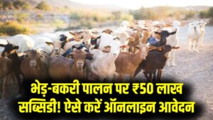 गांव में रहकर बनें लखपति! भेड़-बकरी पालन पर सरकार दे रही ₹50 लाख तक की भारी सब्सिडी; आज ही ऐसे करें ऑनलाइन आवेदन