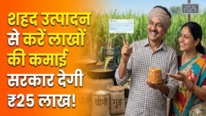 गांव में शुरू करें 'मीठा' बिजनेस! सरकार दे रही है ₹25 लाख तक की मदद; किसानों के लिए सुनहरा मौका 4 गांव में शुरू करें 'मीठा' बिजनेस! सरकार दे रही है ₹25 लाख तक की मदद; किसानों के लिए सुनहरा मौका