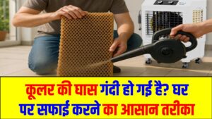 कूलर की घास (HoneyComb Pad) गंदी हो गई है? घर पर सफाई करने का आसान तरीका, मिलेगी AC जैसी हवा