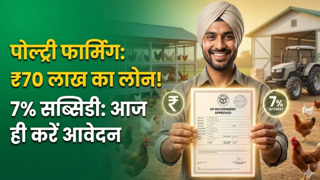 यूपी में पोल्ट्री फार्मिंग के लिए ₹70 लाख तक का लोन! सरकार दे रही है 7% ब्याज पर सब्सिडी; आज ही करें आवेदन, देखें शर्तें